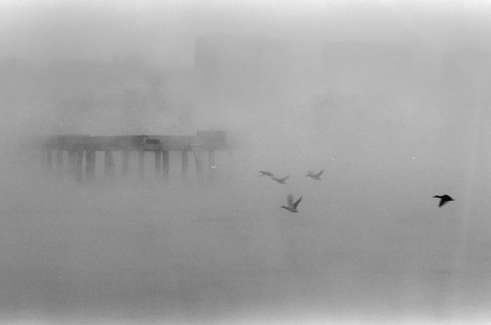 Photograph by Сергей Смелян