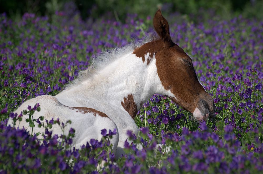 Photograph by Adaya Iglesias