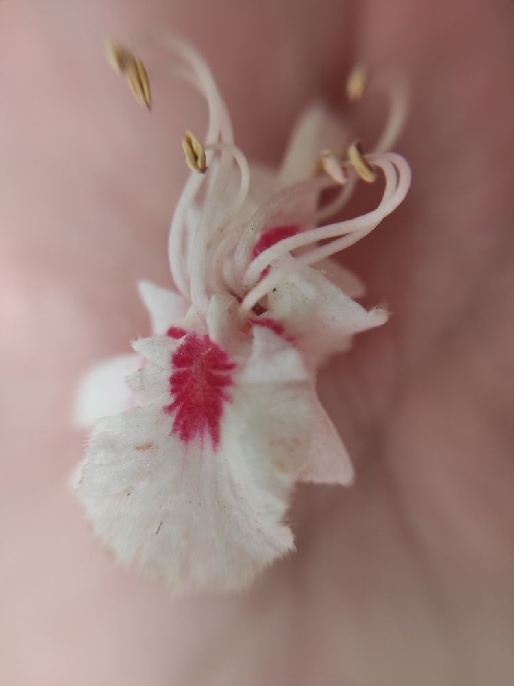 Photograph by Сидорова Ирина