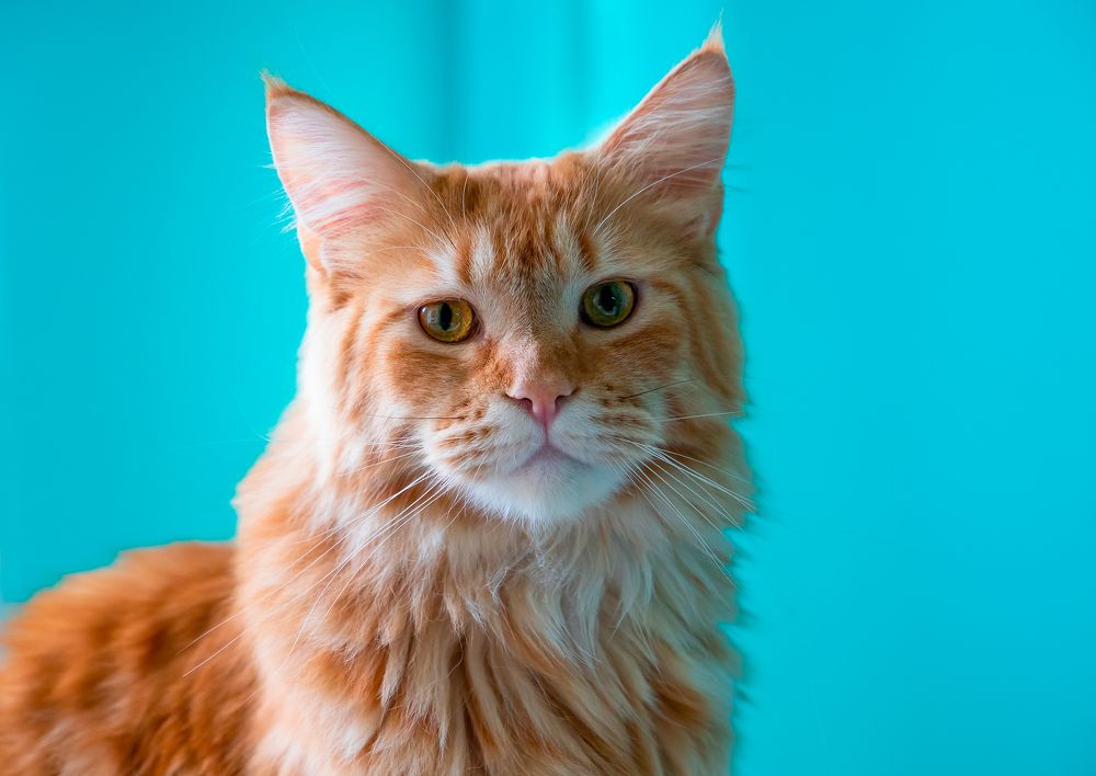 Photograph by Everton Medeiros