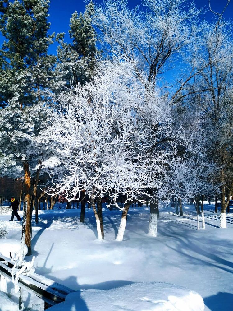 Зимнее утро