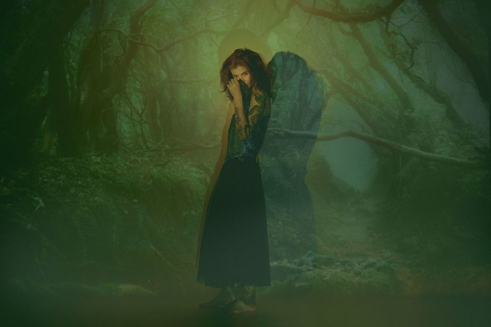 Dark forest