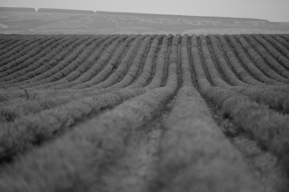 Фотография автора Татьяна Мазепова