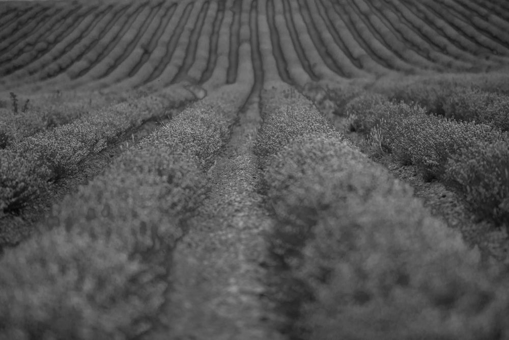 Photograph by Татьяна Мазепова