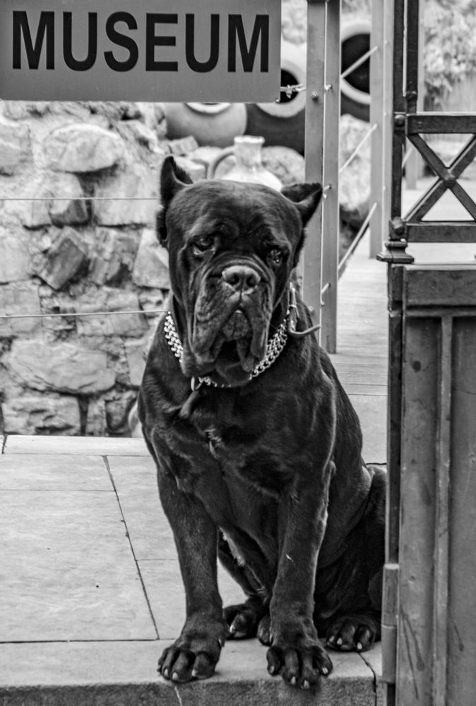 Photograph by Alex Kalpus