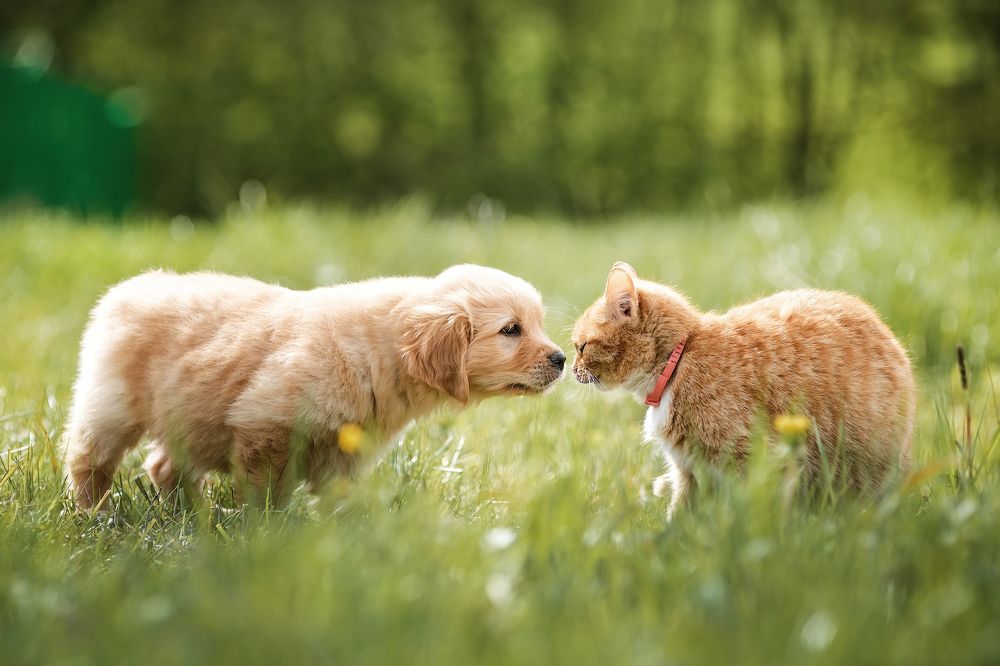 Photograph by Алексей Соколов