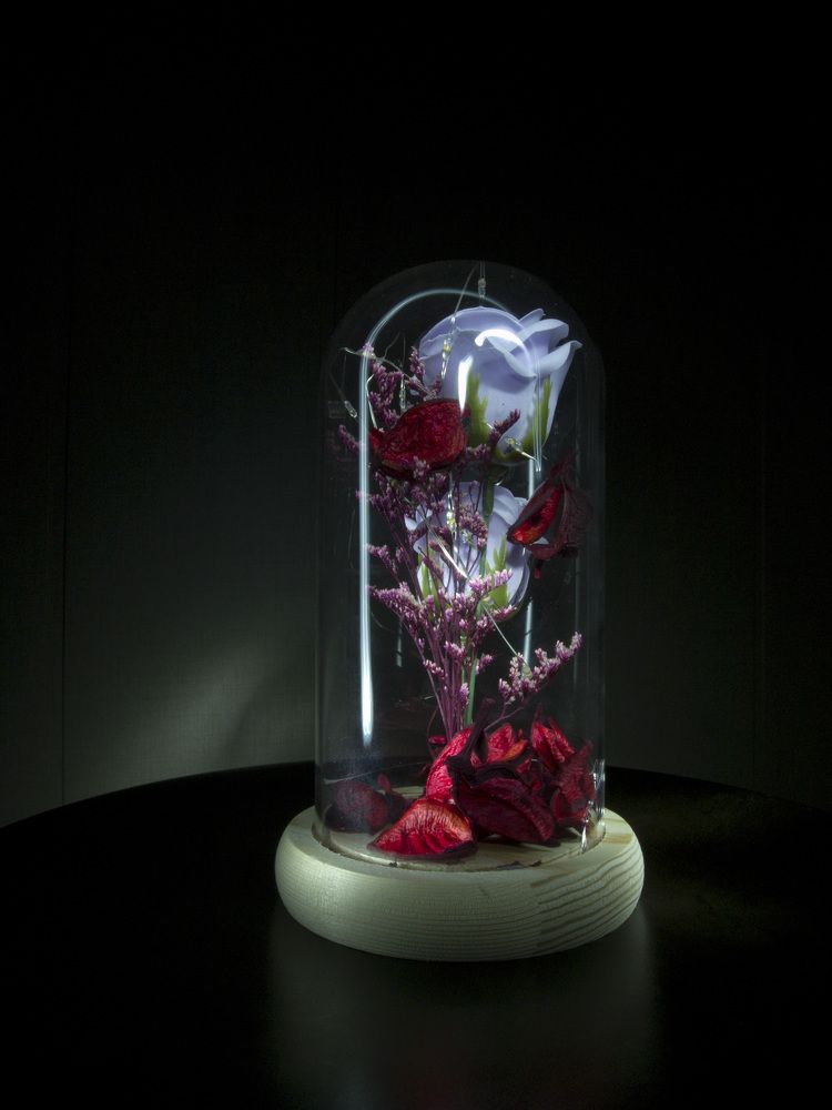 Photograph by Людмила