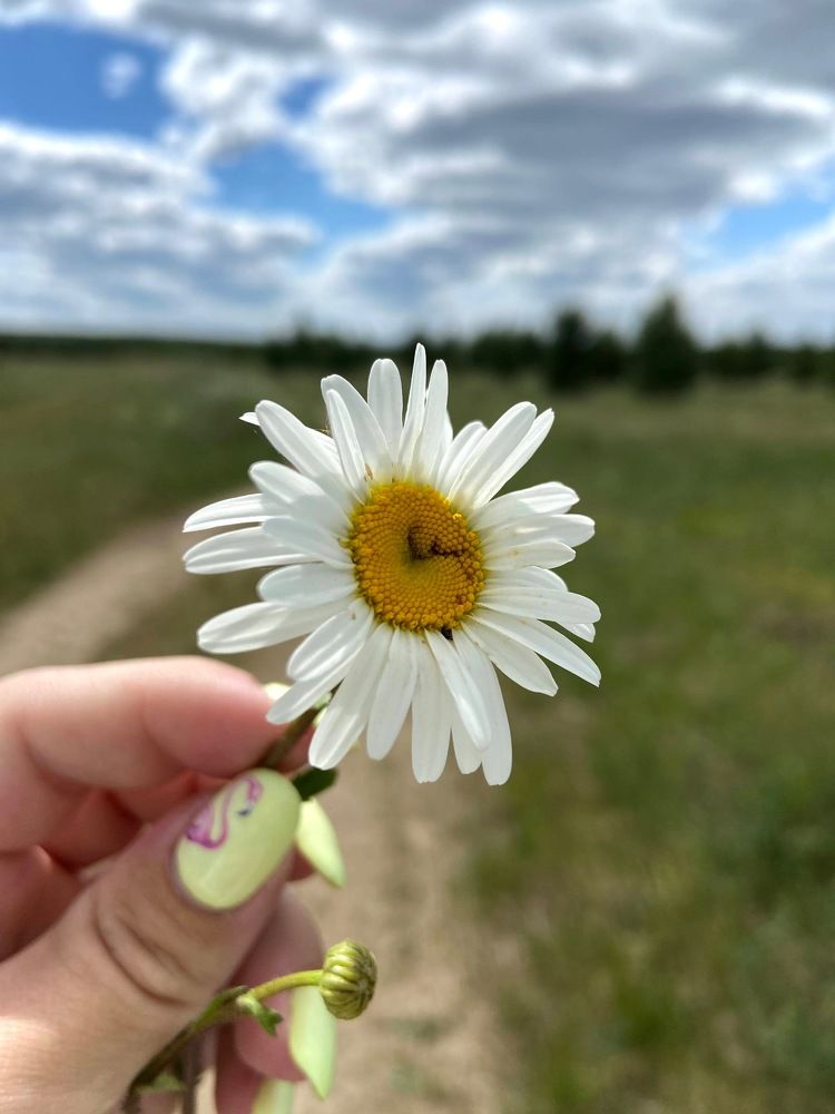 Photograph by Екатерина Верещагина