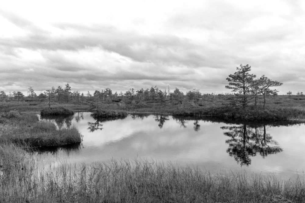 Фотография автора Ольга Войтехович