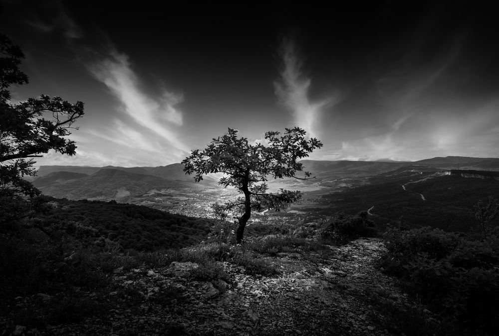 Photograph by Максим Митченко