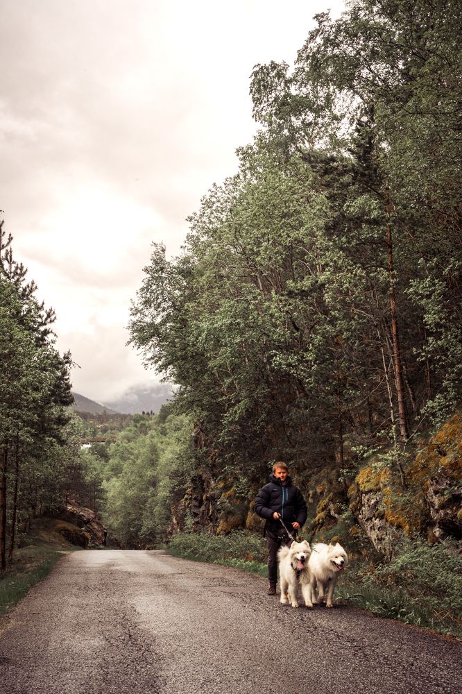 Photograph by Валентина Новицкая