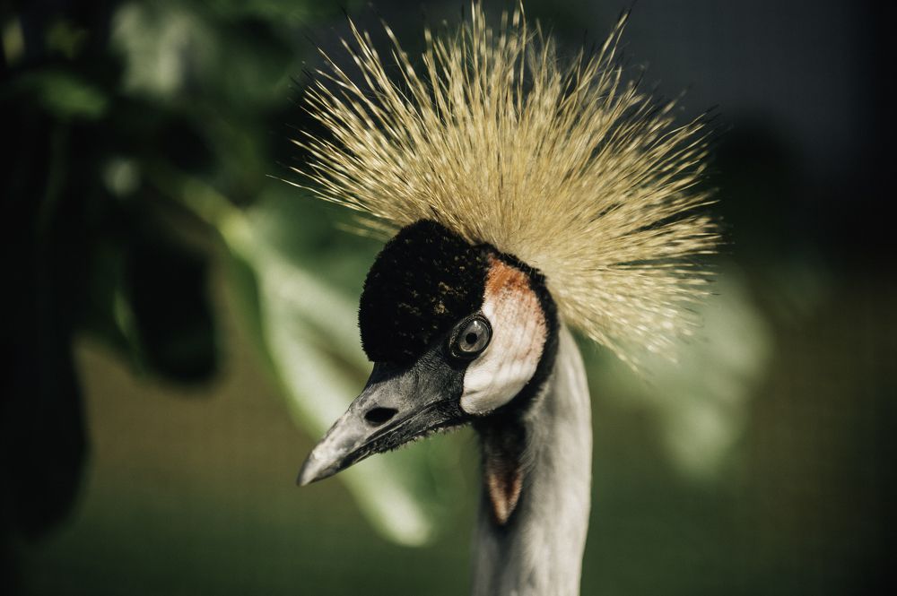 Photograph by Svetlana Soboleva