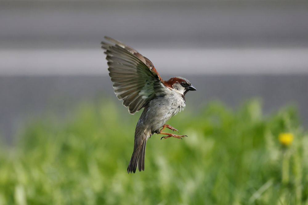 остановить мгновение