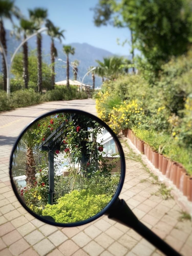 Photograph by Иованна Решетова