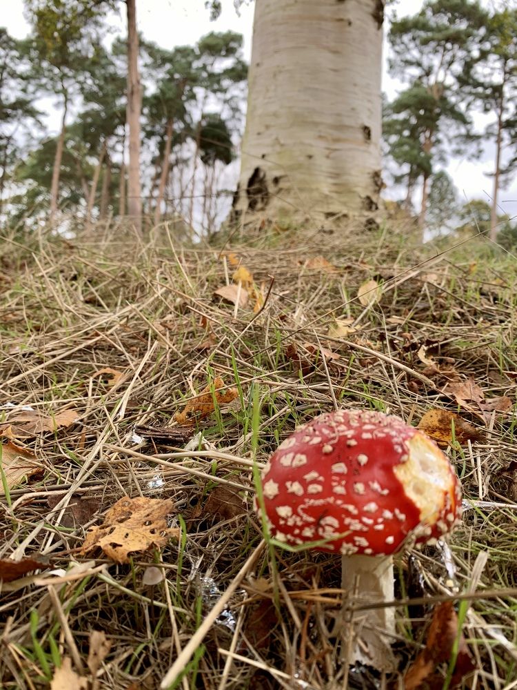 Photograph by Tatiana Serova