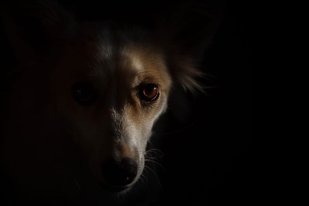 Photograph by Людмила Потапочкина