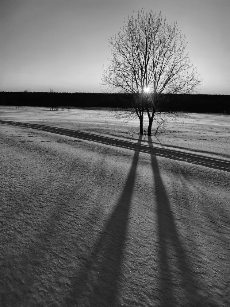 Photo #7653059