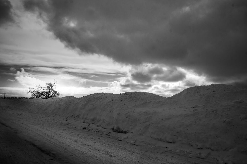 Photograph by Светлана