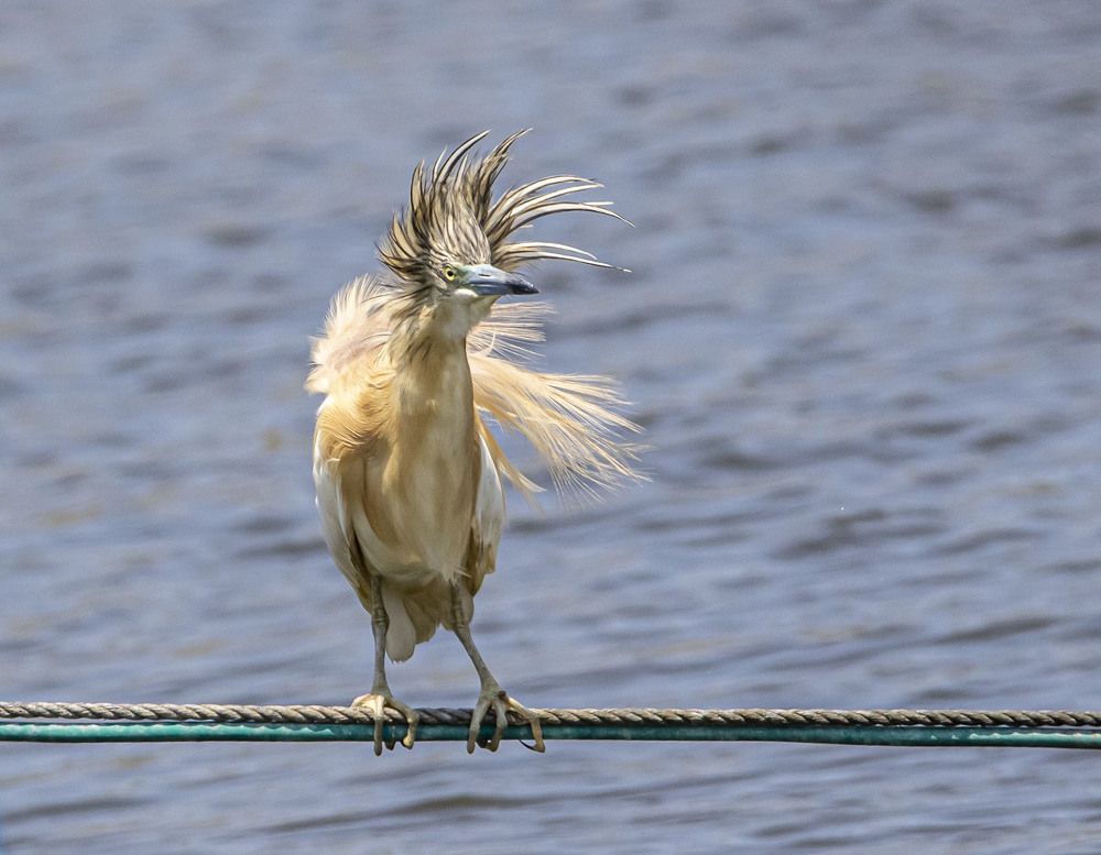 Photograph by Валентина Лопаткина
