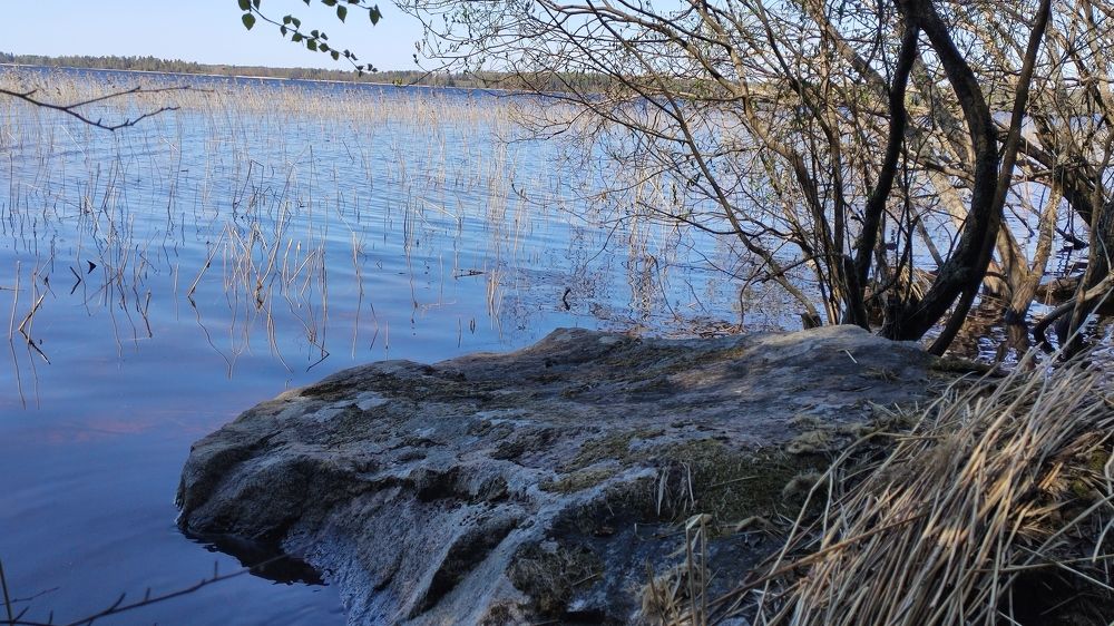 Photograph by Ольга Алешина