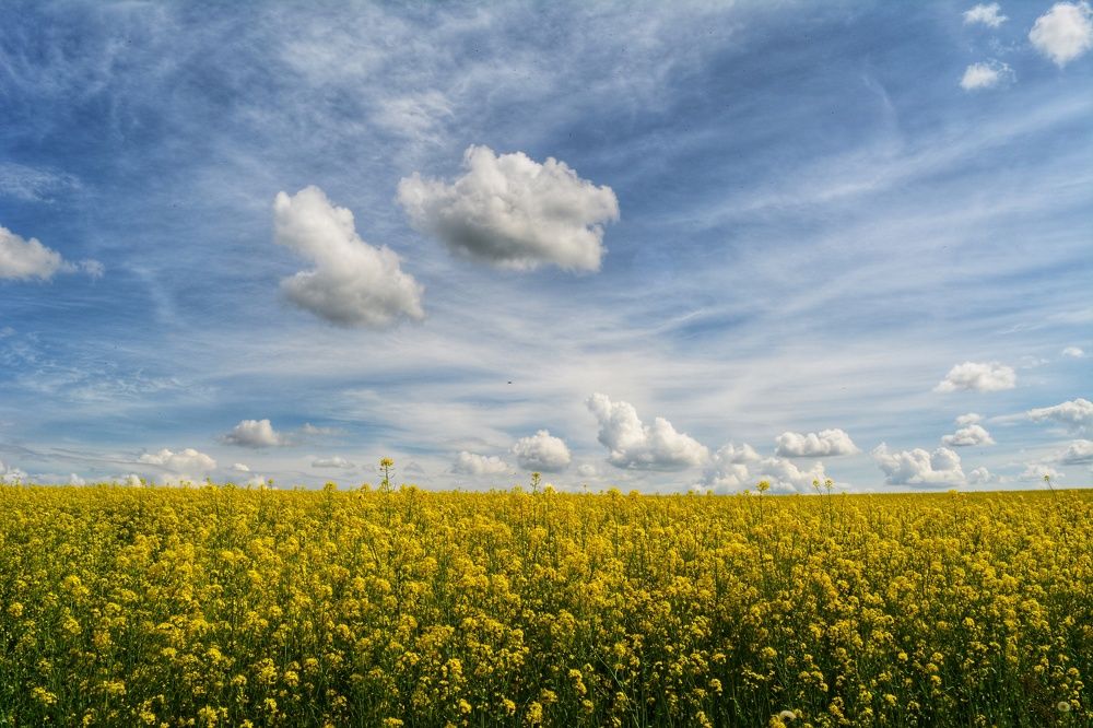 Photograph by Наталья Светлова