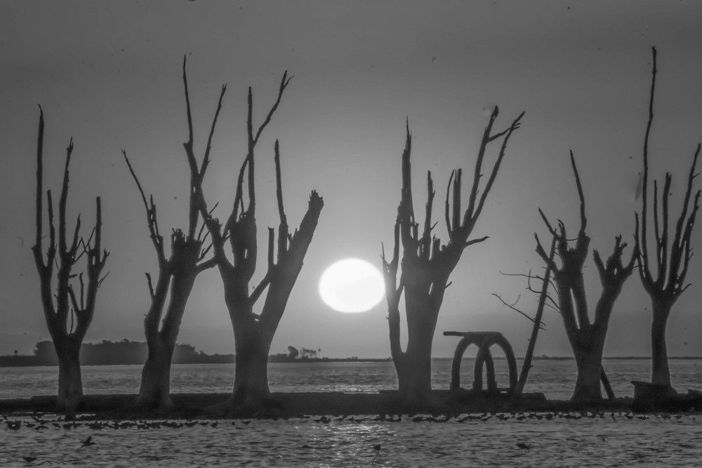 Photograph by Karina Elena Bergagna