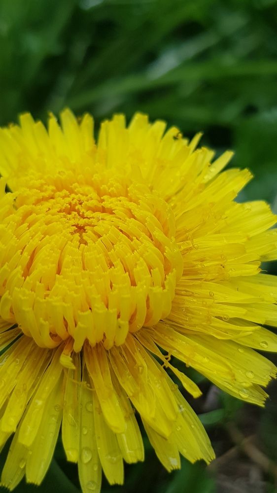 Photograph by Дарья