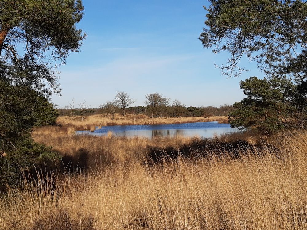 Photograph by Ivo Damen