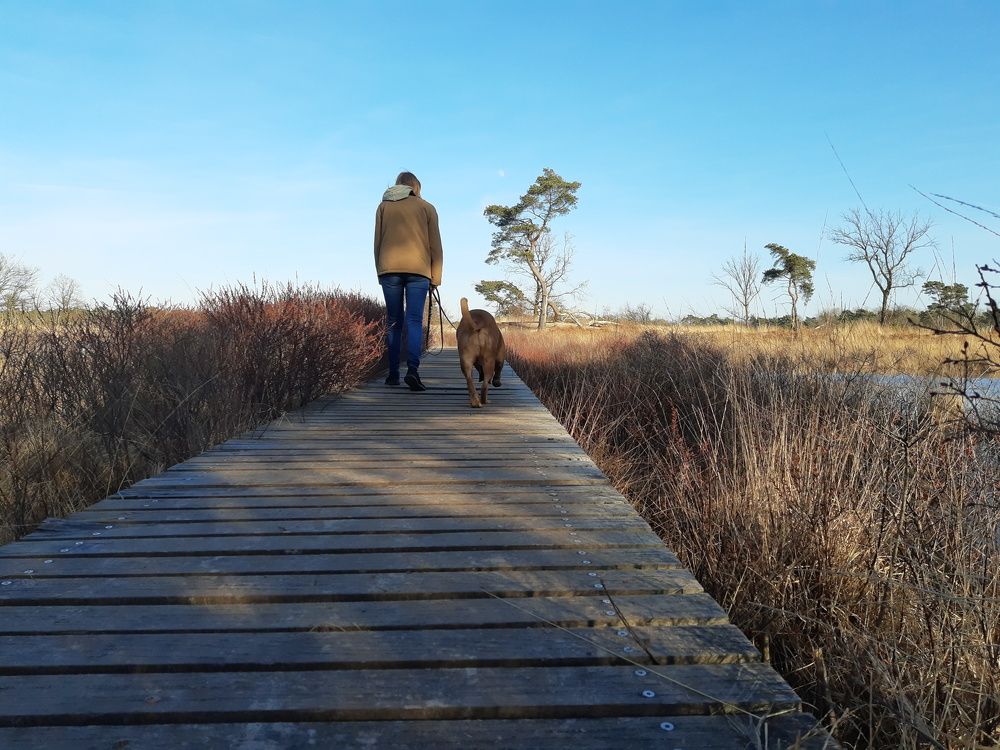 Photograph by Ivo Damen