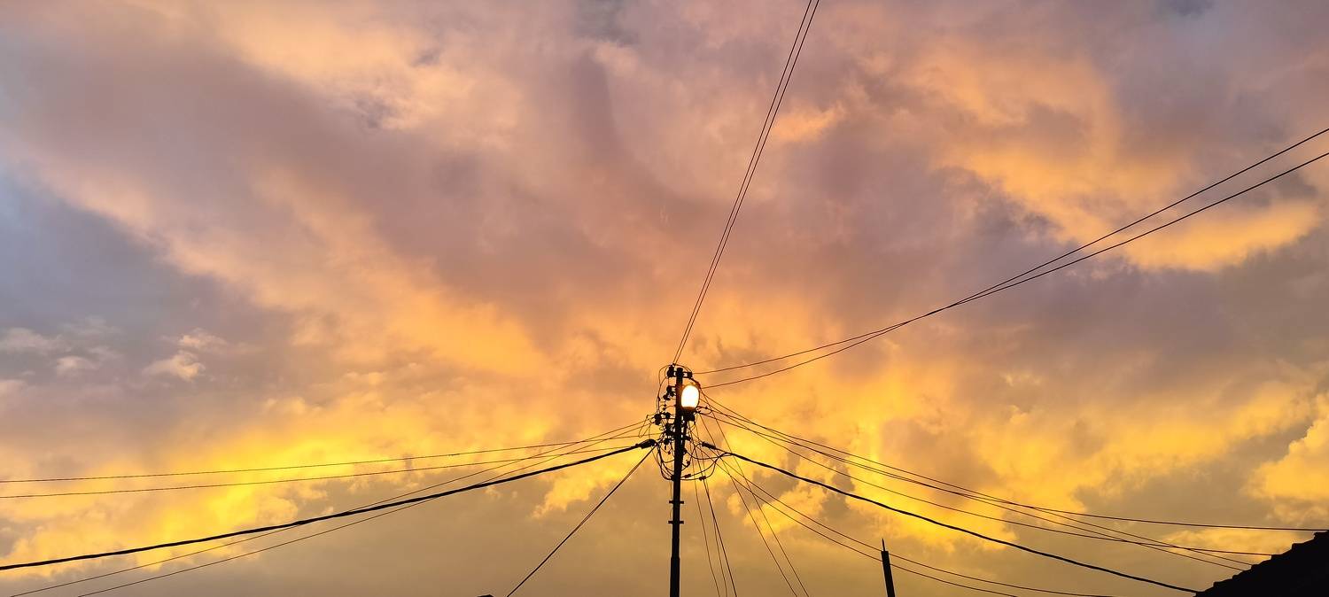 Photo #7653249