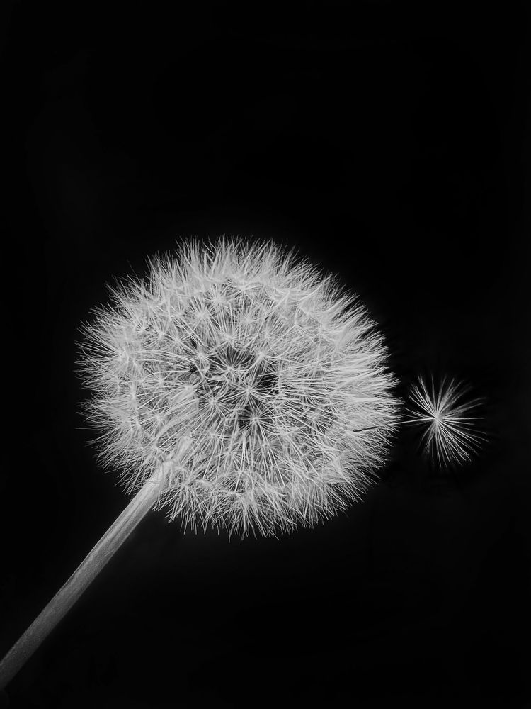 Photograph by Ольга Глазунова