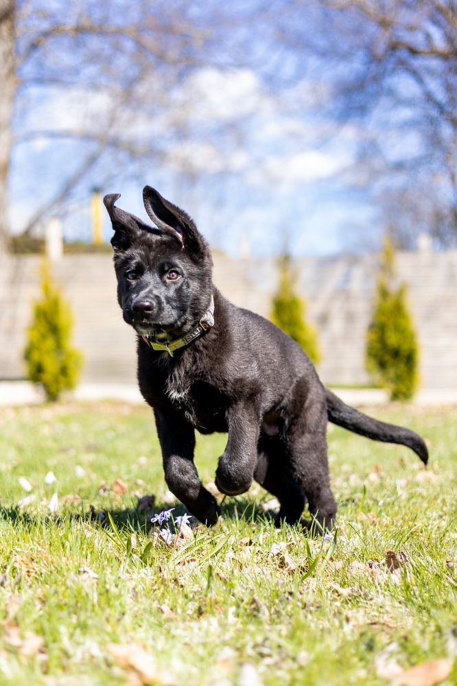 Photograph by Mariko