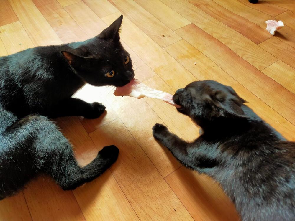 Photograph by Оксана Макарова