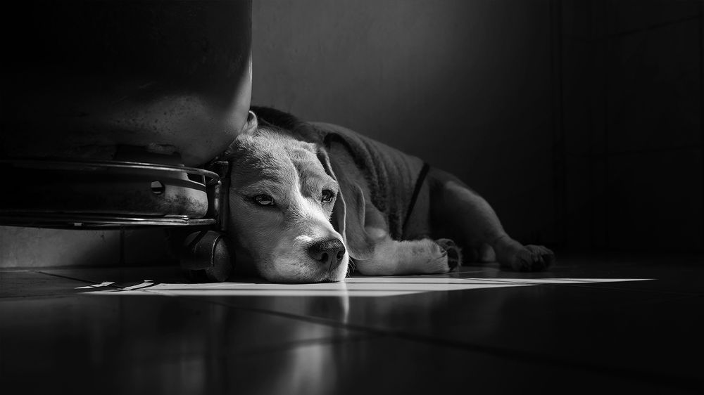 Photograph by Eduardo Machado