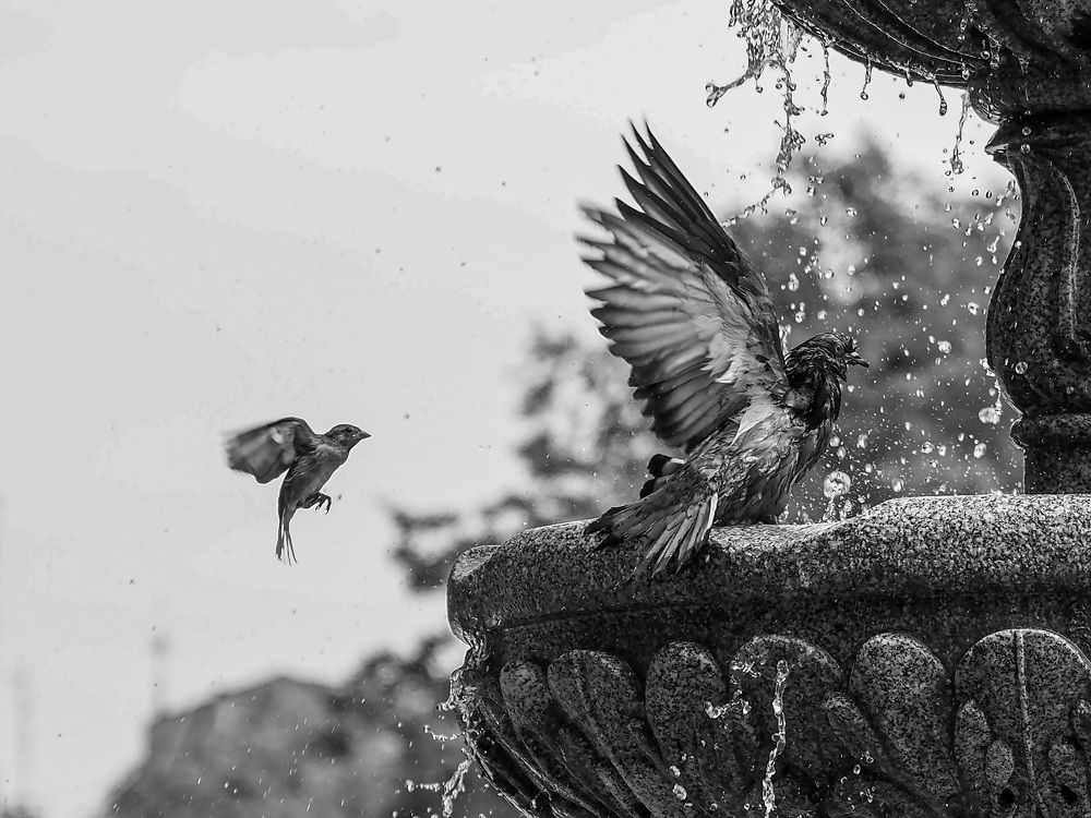 Photograph by Слави Котаров