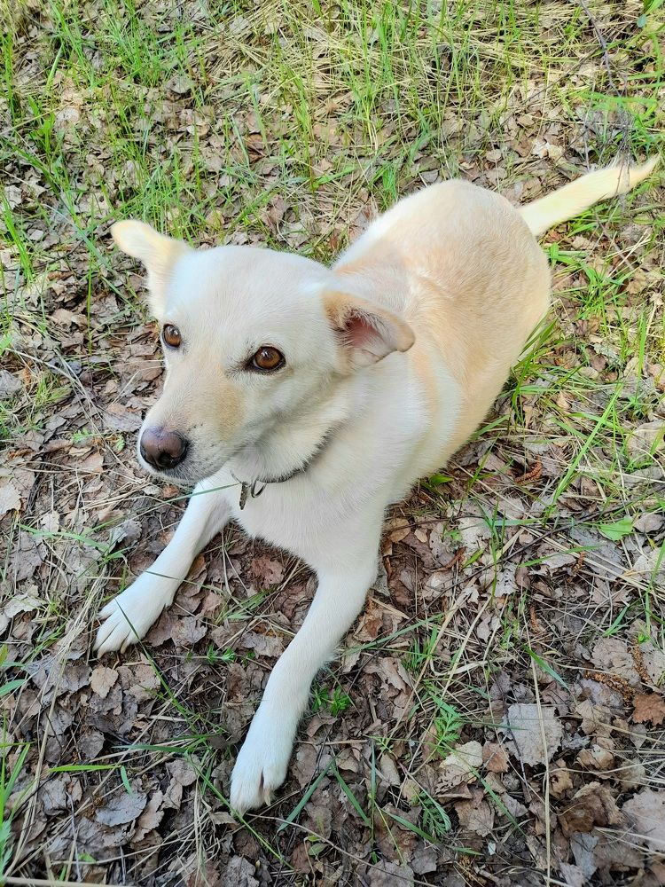 Photograph by Преснухина Екатерина