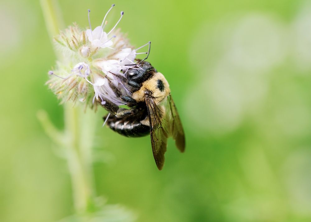 Photograph by Lisa Watkins