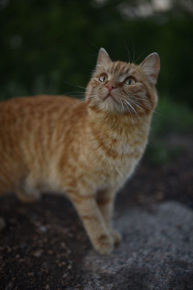 Photograph by Виктория Шамурина