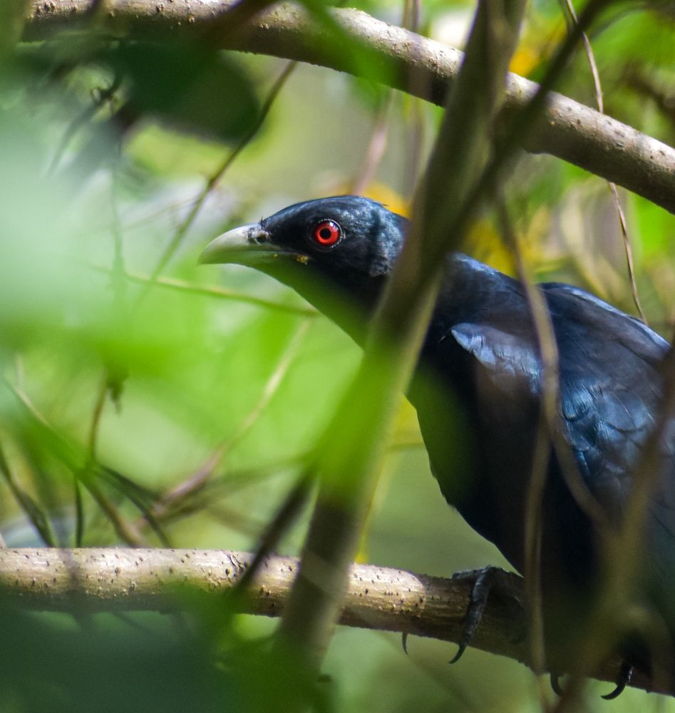 Фотография автора Tonmoy Maity