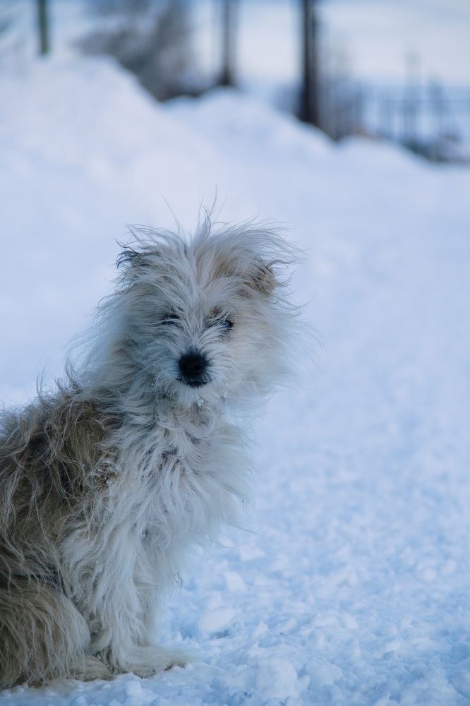 Photograph by Ирина Фатеева