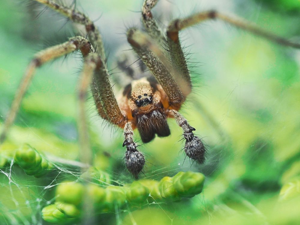 Photograph by Ирина Протченко