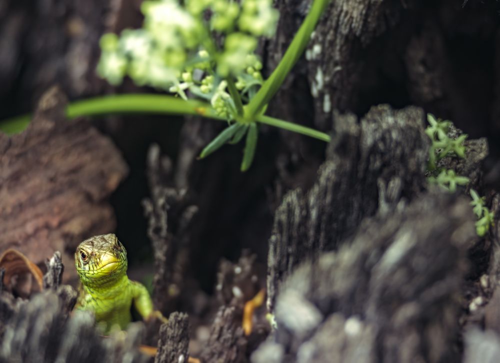 Photograph by Patryk George