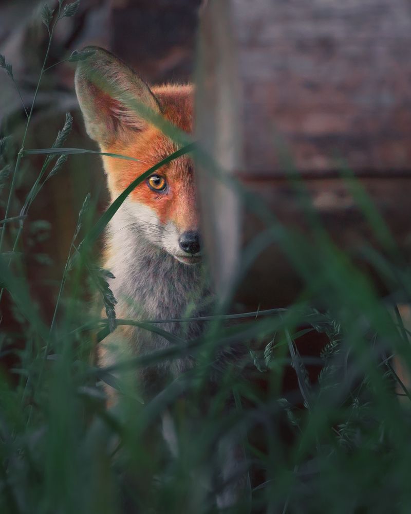 Photograph by Patryk George