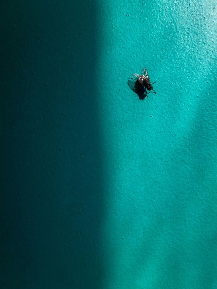 Photograph by Татьяна Носкович