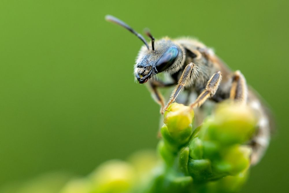 Photograph by Kamil Stępień