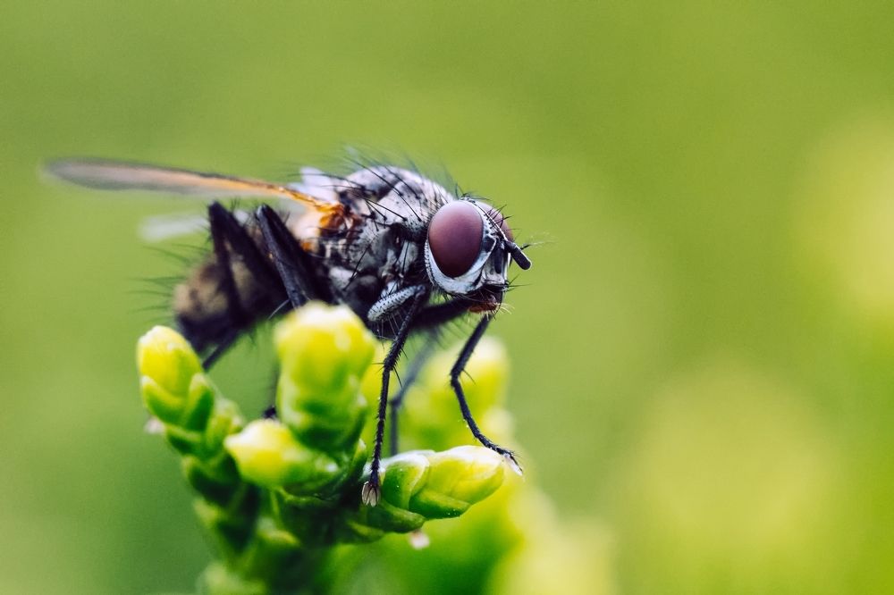 Photograph by Kamil Stępień