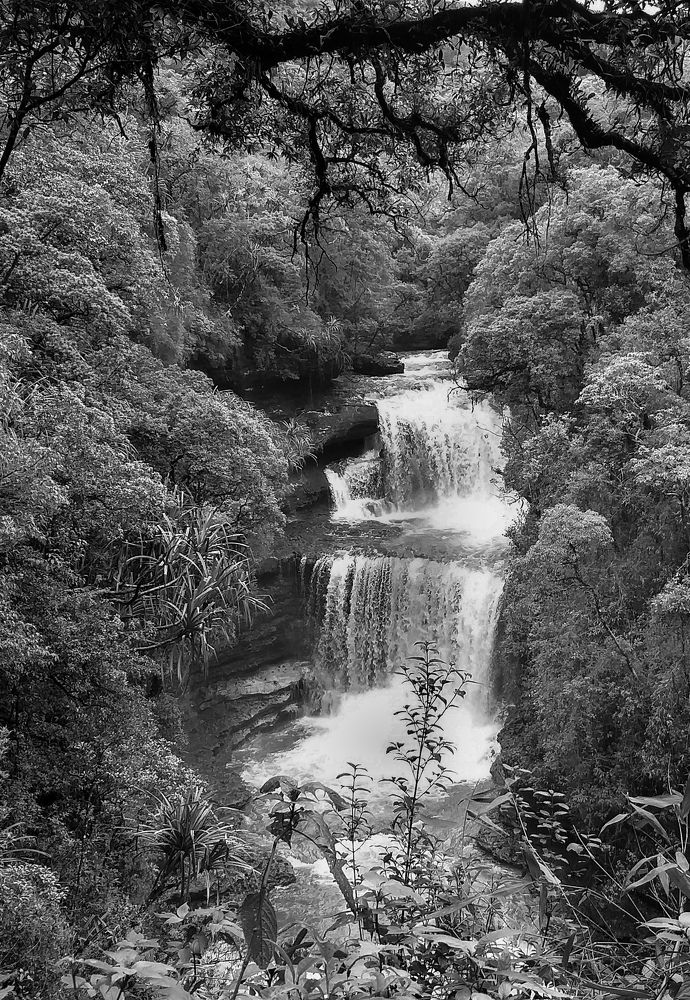Photograph by Kamal Bhattacharjya