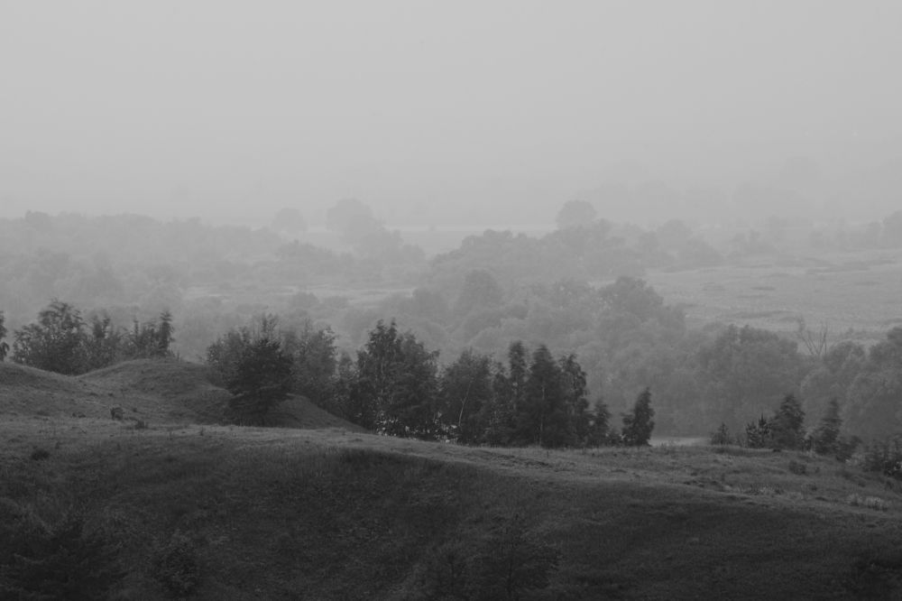 Photograph by Чудинин Дмитрий