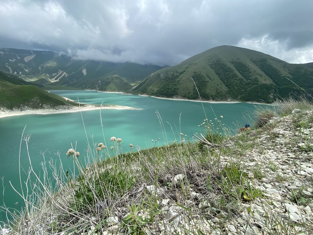 Фотография автора Ольга Горюнова