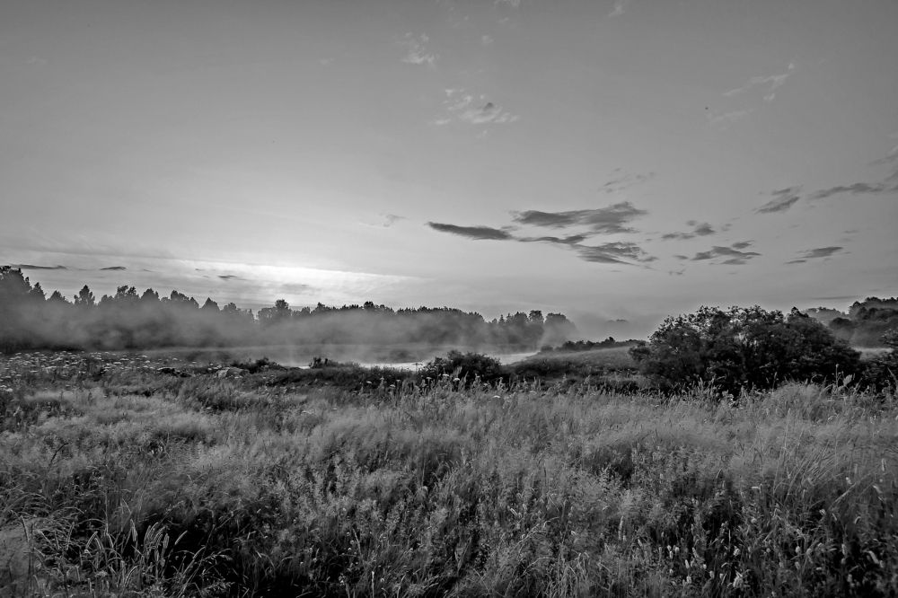 Photograph by Александр Козин